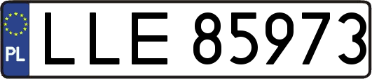LLE85973
