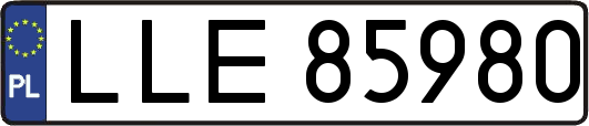 LLE85980