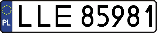 LLE85981