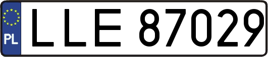 LLE87029