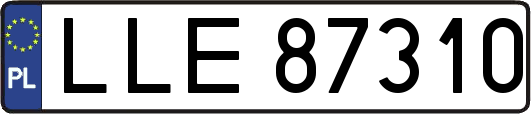 LLE87310