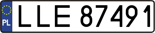 LLE87491