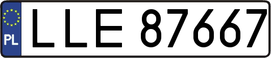 LLE87667