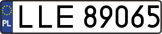 LLE89065