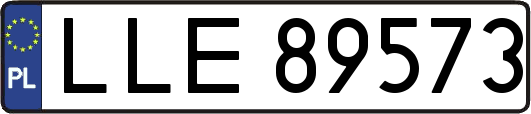 LLE89573