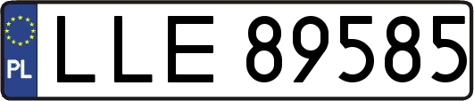 LLE89585