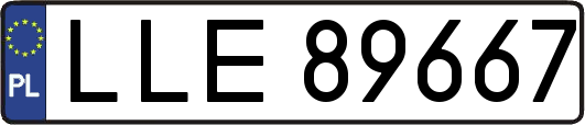 LLE89667
