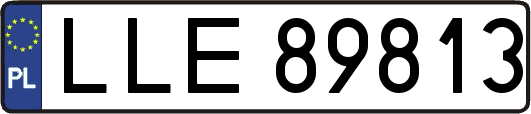 LLE89813