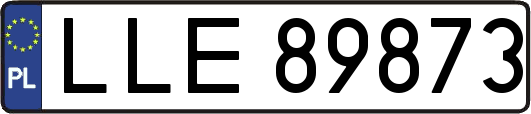 LLE89873