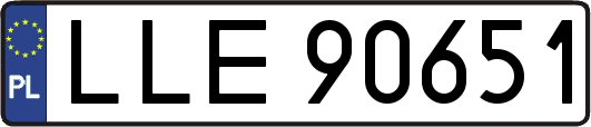 LLE90651