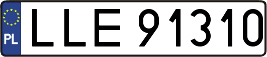 LLE91310