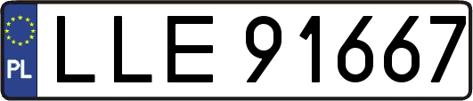 LLE91667