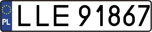 LLE91867