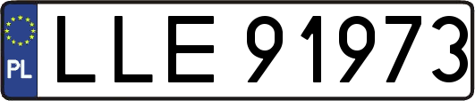 LLE91973
