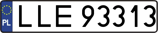 LLE93313