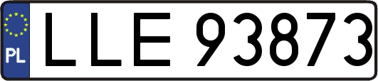 LLE93873