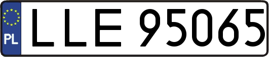 LLE95065