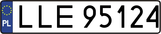 LLE95124
