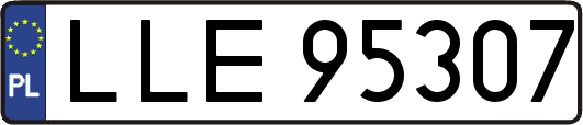 LLE95307