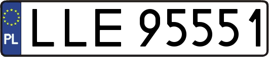 LLE95551
