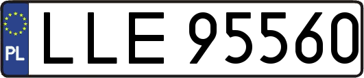 LLE95560