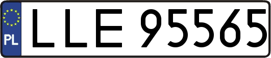 LLE95565