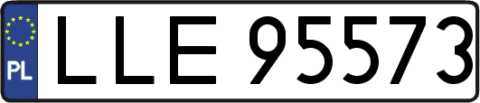 LLE95573