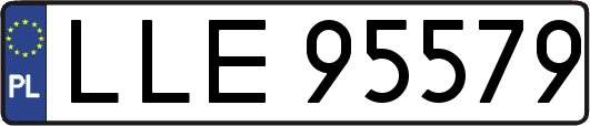LLE95579