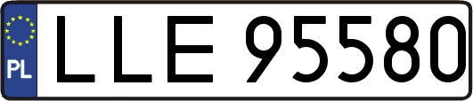 LLE95580