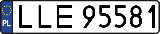 LLE95581