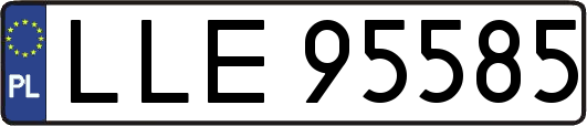 LLE95585