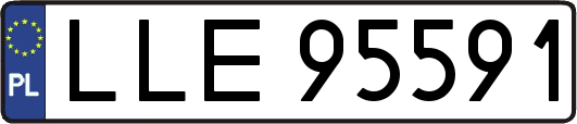 LLE95591