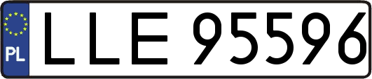 LLE95596