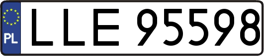 LLE95598