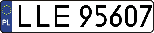 LLE95607