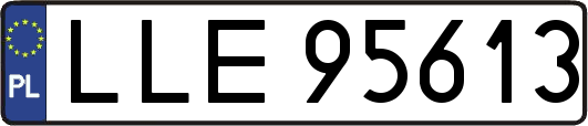 LLE95613