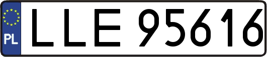 LLE95616