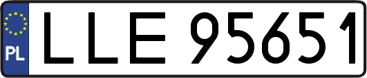 LLE95651