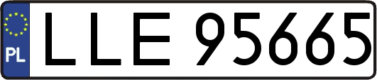 LLE95665