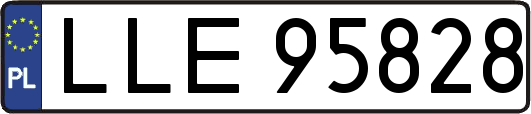 LLE95828