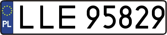 LLE95829