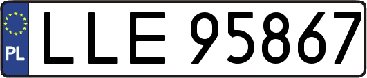 LLE95867