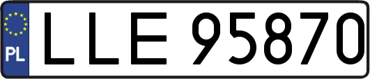LLE95870