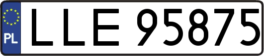 LLE95875