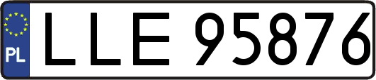 LLE95876