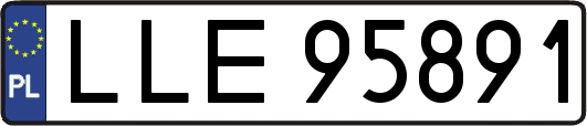 LLE95891
