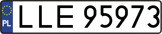 LLE95973