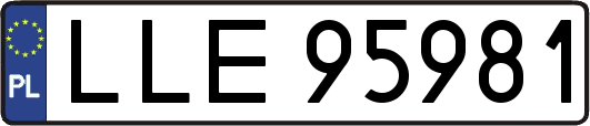 LLE95981
