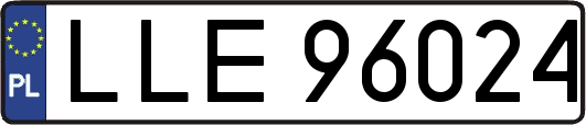 LLE96024