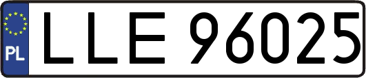 LLE96025